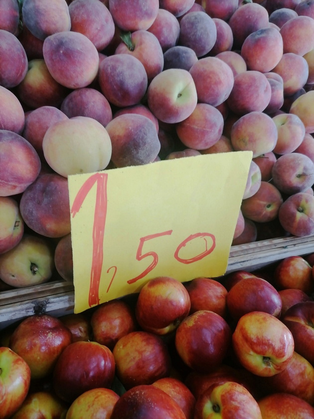 poevtino-od-makedonija-vo-koe-grchko-letuvalishte-kje-si-kupite-praski-i-kajsii-za-30-denari-kilogram-09.jpg