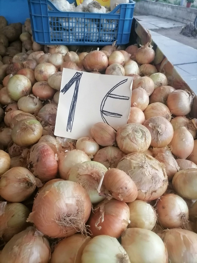 poevtino-od-makedonija-vo-koe-grchko-letuvalishte-kje-si-kupite-praski-i-kajsii-za-30-denari-kilogram-11.jpg