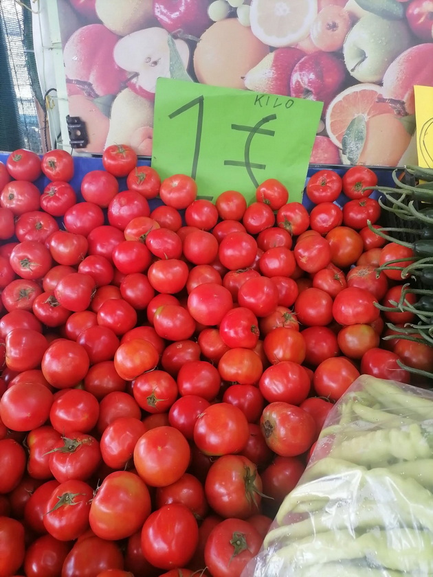 poevtino-od-makedonija-vo-koe-grchko-letuvalishte-kje-si-kupite-praski-i-kajsii-za-30-denari-kilogram-13.jpg
