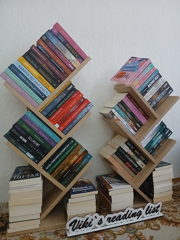 violeta-od-shtip-ima-biblioteka-so-300-knigi-chitam-od-sredno-obozhavam-da-razgovaram-so-makedonski-pisateli-06.jpg