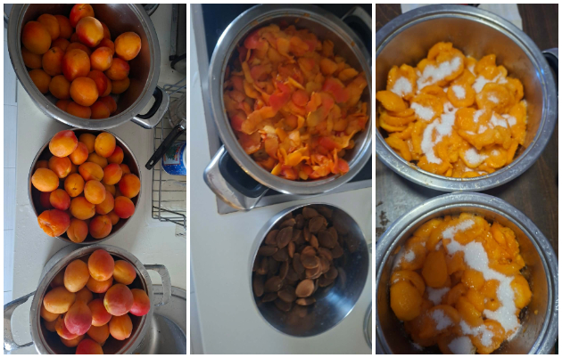 domashen-marmalad-od-kajsii-po-recept-na-majka-mi-napravivme-5-tegli-vo-eden-den-vo-stan-02.jpg