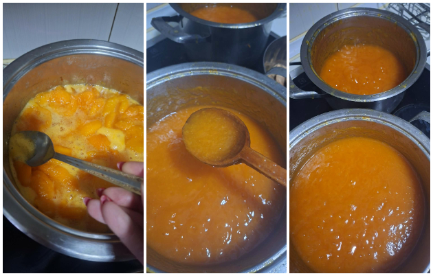 domashen-marmalad-od-kajsii-po-recept-na-majka-mi-napravivme-5-tegli-vo-eden-den-vo-stan-05.jpg