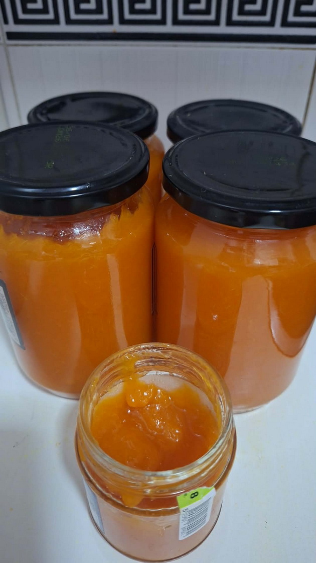 domashen-marmalad-od-kajsii-po-recept-na-majka-mi-napravivme-5-tegli-vo-eden-den-vo-stan-07.jpg