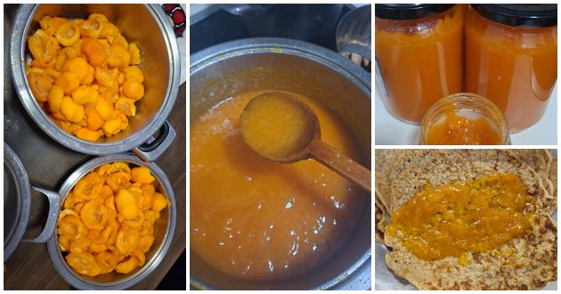 domashen-marmalad-od-kajsii-po-recept-na-majka-mi-napravivme-5-tegli-vo-eden-den-vo-stan-1.jpg