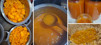 domashen-marmalad-od-kajsii-po-recept-na-majka-mi-napravivme-5-tegli-vo-eden-den-vo-stan_povekje01.jpg