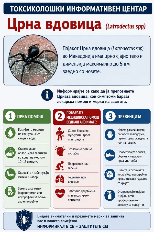 prv-sluchaj-na-truenje-od-pajakot-crna-vdovica-vo-makedonija-vo-2026-kako-da-prepoznaete-i-shto-da-napravite-02.jpg