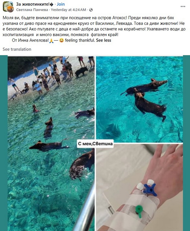 bugarska-turistka-bila-kasnata-od-divo-prase-na-plazha-na-grchki-ostrov-kade-otishla-na-ednodnevo-krstarenje-od-lefkada-13.jpg