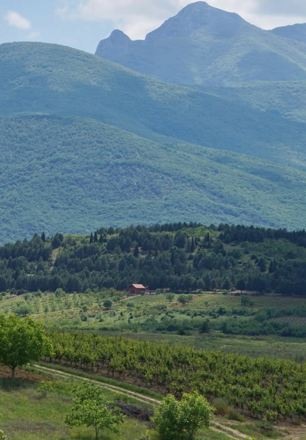 makedonija-naj-ubava-si-dechko-velosipedist-dojde-od-stranstvo-i-ni-go-pokazha-toa-duri-se-bricheshe-na-poljana-09.jpg