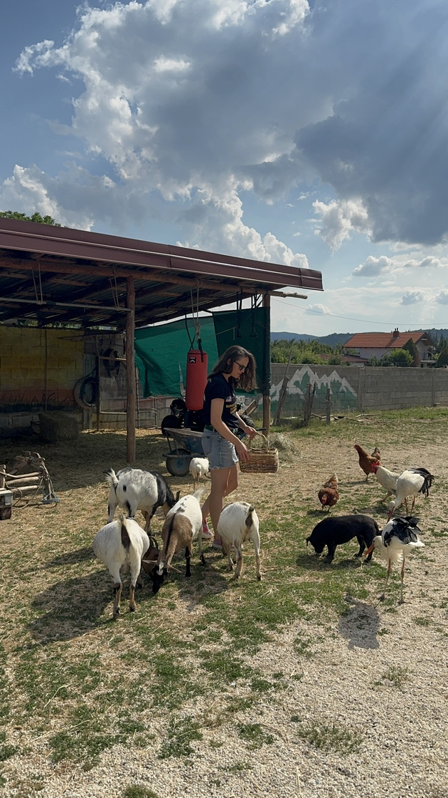 makedonka-se-vrati-od-njujork-i-spasuva-povredeni-i-napushteni-zhivotni-ima-ranch-kaj-kriva-palanka-02.jpeg