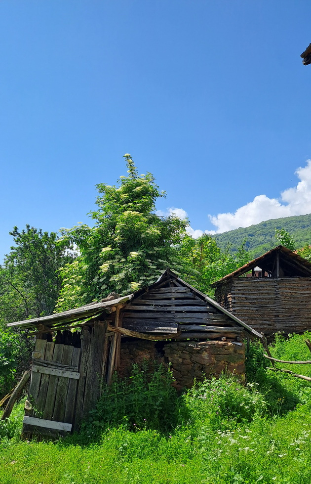 vo-vikendichkata-na-aneta-stameska-vo-s-lupshte-poreche-sosedot-ni-bere-pechurki-gotvime-na-shporet-na-drva-vo-dvor-02.jpg