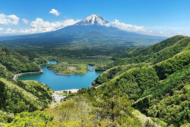 mornichavi-fakti-za-japonskata-shuma-za-samoubistva-naogjaat-i-po-100-tela-godishno-nekoi-veruvaat-deka-e-opsednata-02.JPG