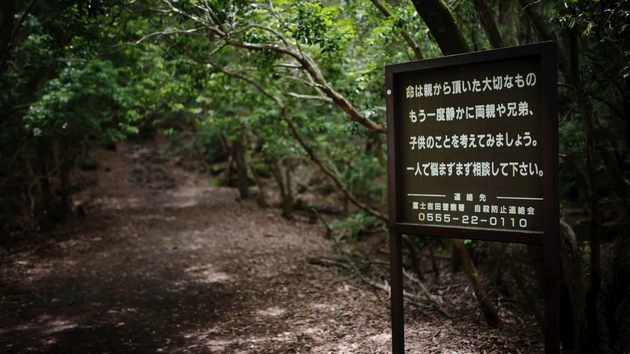 mornichavi-fakti-za-japonskata-shuma-za-samoubistva-naogjaat-i-po-100-tela-godishno-nekoi-veruvaat-deka-e-opsednata-05.JPG