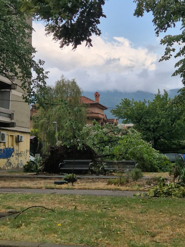 padnati-semafori-skrsheni-drvja-letaa-masi-i-krovovi-silniot-veter-napravi-pustosh-vo-skopje-22.jpg