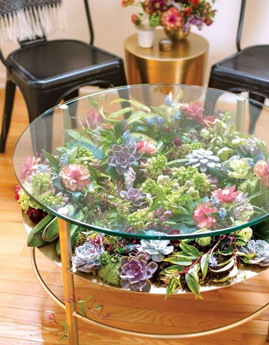 Куб с цветами внутри. Журнальный столик с растениями. Декор стеклянного стола. Стол декоративный. Композиции из комнатных растений.