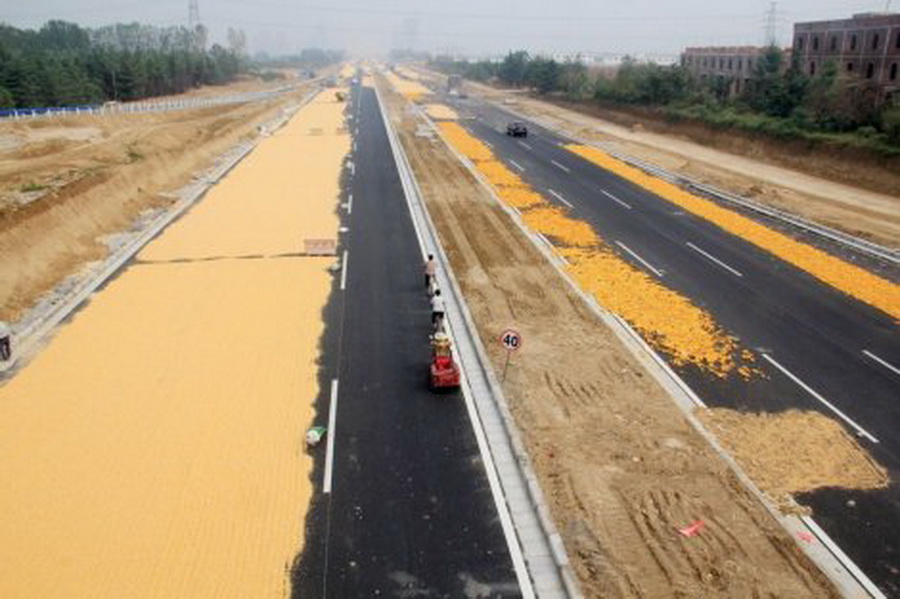 Golden roads. Как устроен Golden Road. Gold Road. Dual carriageway. Giant Highroad.