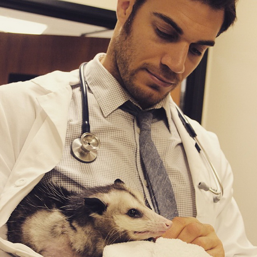 Ветеринарный врач россия. Эван Антин. Эван Антин американский ветеринарный врач. Ветеринар доктор Эван. Красивый ветеринар.
