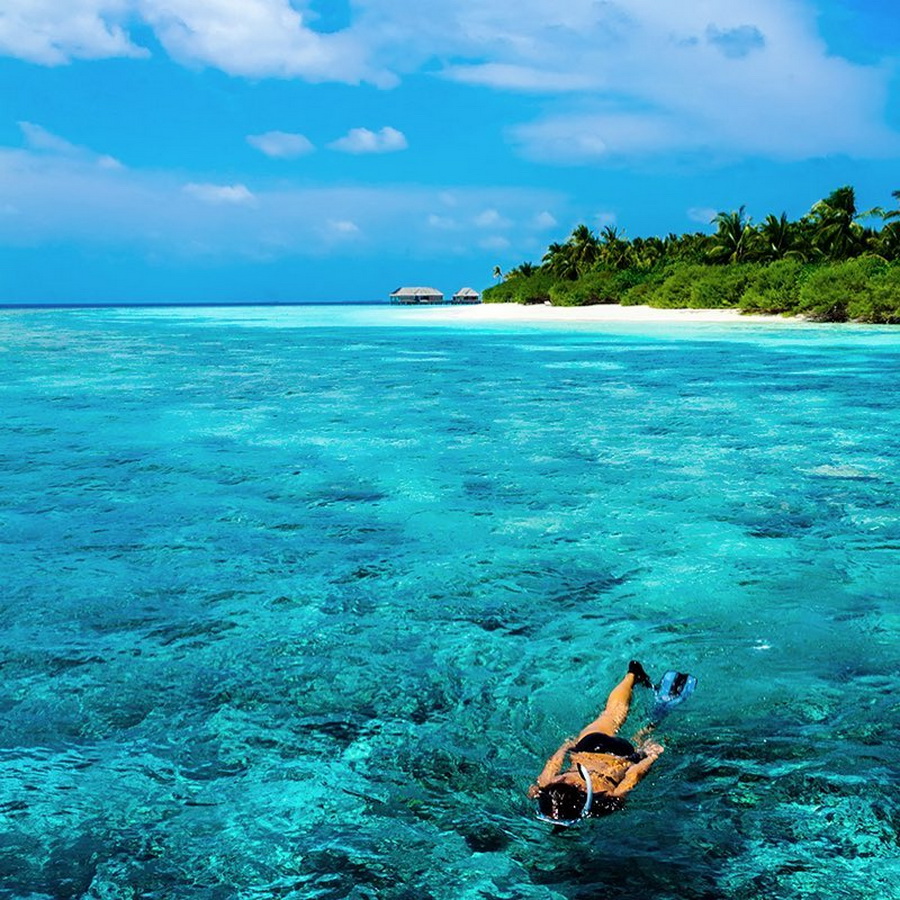 Бесплатный индийский океан. Доминикана Атлантический океан. Индийский океан Мальдивы. Мальдивы индийский океан отливы. Остров Майтон снорклинг.