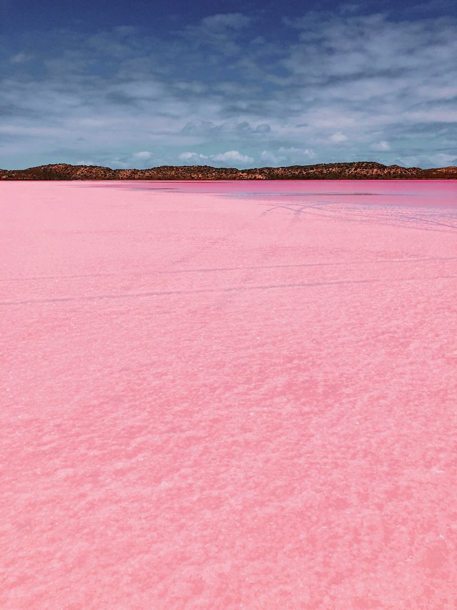 Есть розовое озеро. Лагуна Хатт Австралия. Озеро Лагуна Хатт. Озеро Лагуна Хатт Австралия. Dunaliella Salina озеро.
