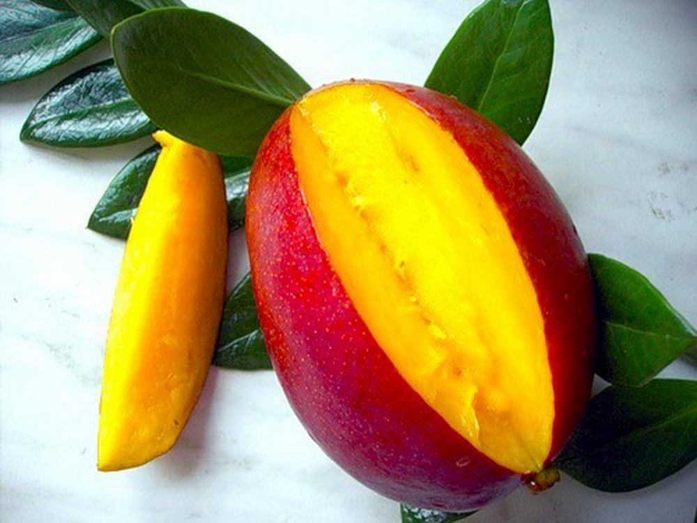 Красно желтый фрукт. Манго (фрукт). Экзотические фрукты манго. Манго спелое. Манго сорт Альфонсо.