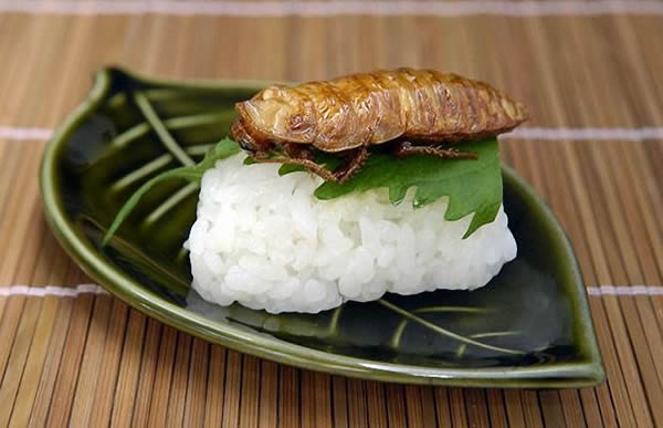 Japnese-Food-05