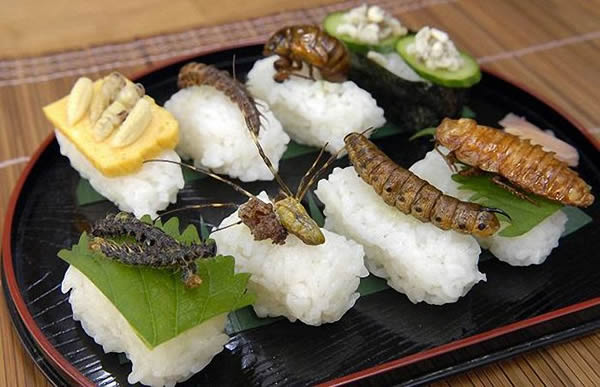 Japnese-Food-10