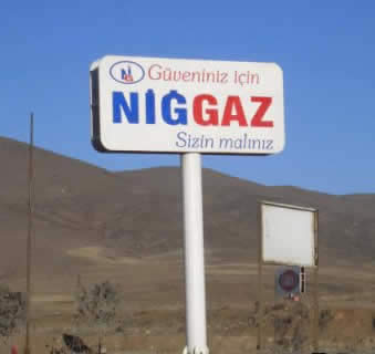 766182.jpg