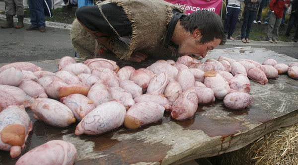 bull-balls-festival