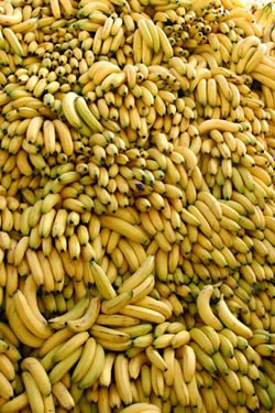mokjta-na-bananite