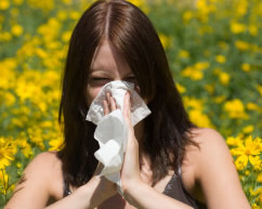 kako-so-proletnite-alergii1