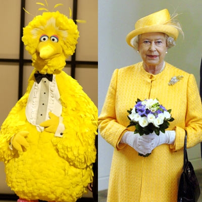 bigbirdqueen