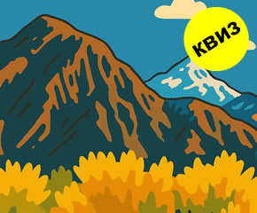 Квиз: Погодете ги сите одговори на буквата „О“