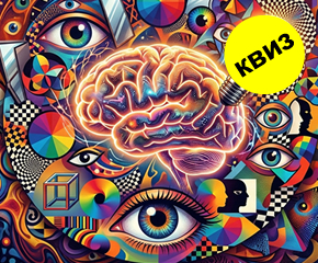 Квиз со бои кои го лажат мозокот